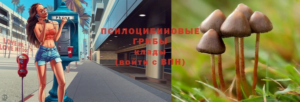 твердый Михайлов