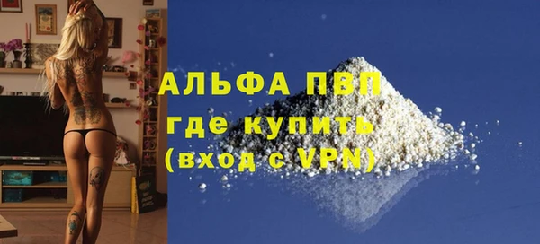 твердый Михайлов
