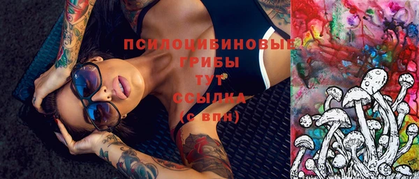 герыч Дмитриев