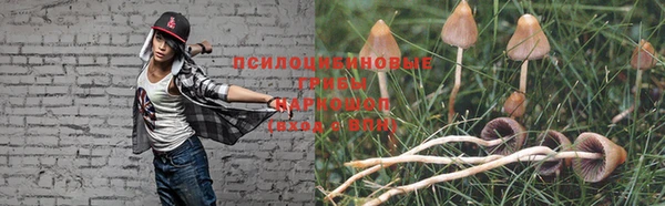 мяу мяу мука Дмитровск