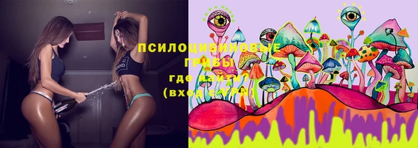 дурь Дмитров