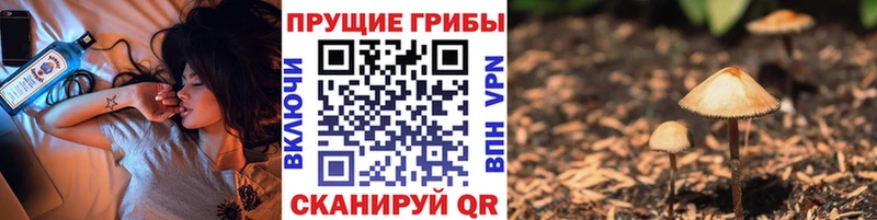 Галлюциногенные грибы Psilocybe  мега   Еманжелинск 