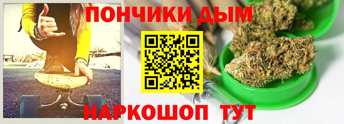 Шишки марихуана марихуана  Канабис планчик  Бошки марихуана сатива  Вход с VPN  Еманжелинск 